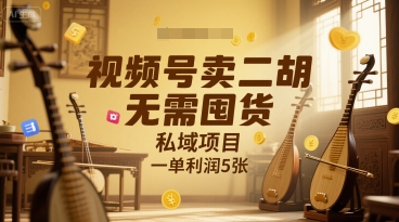 视频号卖二胡，无需囤货，私域项目，一单利润5张-新一轻创