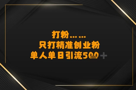 打粉只打精准创业粉，单人单日引流500+-新一轻创