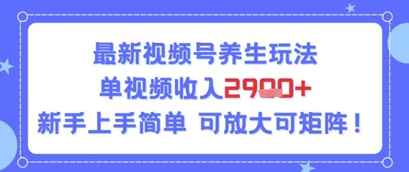 视频号养生玩法，单视频收入2.9k，新手上手简单-新一轻创