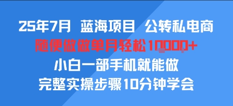 25年7月蓝海项目，公转私电商，随便做做单月轻松1w，小白一部手机就能做，完整实操步骤10分钟学会-新一轻创
