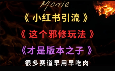 最近小红书引流这个邪修玩法才是版本之子，很多赛道早用早吃肉-新一轻创
