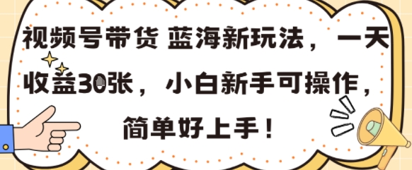 视频号带货蓝海新玩法，一天收益3张，小白新手可操作，简单好上手!-新一轻创