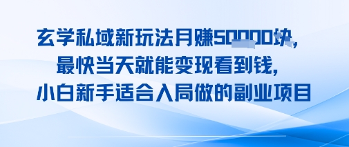 玄学私域新玩法月入1W+，最快当天就能变现看到米，小白新手适合入局做的副业项目-新一轻创