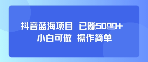 抖音蓝海项目，小白可做，操作简单，可批量制作，已挣5k+-新一轻创