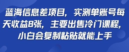 蓝海信息差项目，实测单账号每天收益多张，主要出售冷门课程，小白会复制粘贴就能上手-新一轻创