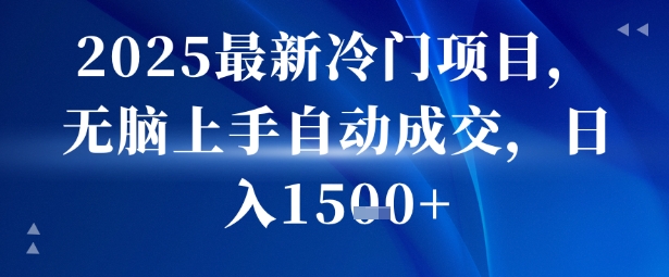 2025最新冷门项目，无脑上手自动成交，日入多张-新一轻创