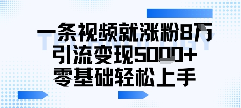 一条视频就涨粉8W引流变现5k+，0基础项目轻松上手-新一轻创