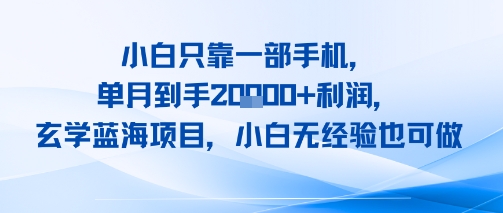 小白只靠一部手机，单月到手2W+利润，玄学蓝海项目，小白无经验也可做-新一轻创