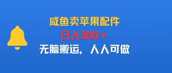 咸鱼卖苹果配件，日入3张+，无脑搬运，人人可做-新一轻创