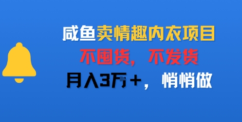 咸鱼卖情趣内衣项目，不囤货，不发货，月入3W+，悄悄做-新一轻创
