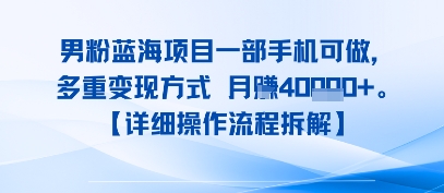 8月新男粉蓝海项目一部手机可做，多重变现方式 月入4W+【详细操作流程拆解】-新一轻创