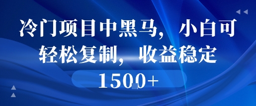 冷门项目中黑马，小白可轻松复制，收益稳定1.5k-新一轻创